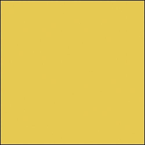 Rosco Permacolor Glass Filter - Bright Straw - 2" Round