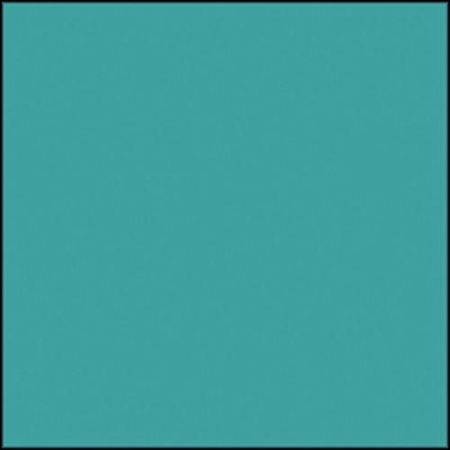 Rosco Permacolor Glass Filter - Fern Green - 6.3" Round