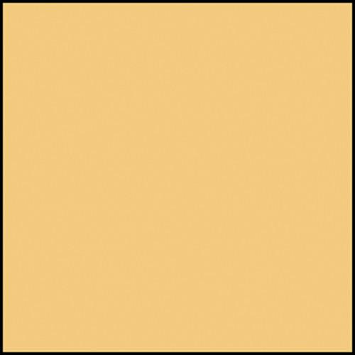 Rosco Permacolor Glass Filter - Goldenrod - 5-1 4" Round