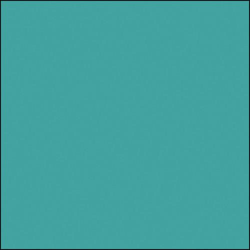 Rosco Permacolor Glass Filter - Light Blue Green - 6.3" Round