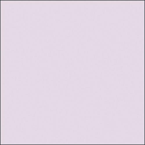 Rosco Permacolor Glass Filter - Light Pink - 5-1 4" Round