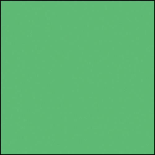 Rosco Permacolor Glass Filter - Light Yellow Green - 5-1 4" Round