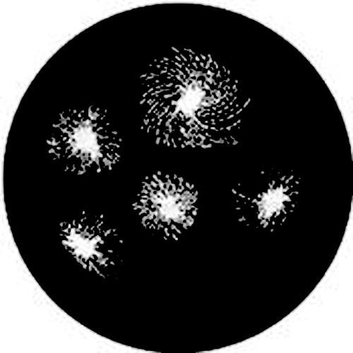 Rosco Standard Steel Gobo #7225 - Solar Wheel