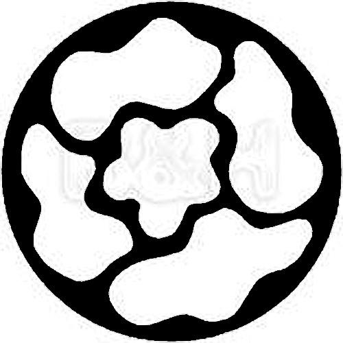 Rosco Standard Steel Gobo #7723 - Hibiscus