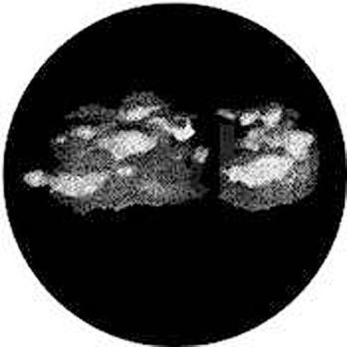 Rosco Standard Steel Gobo #7831 - Stratus