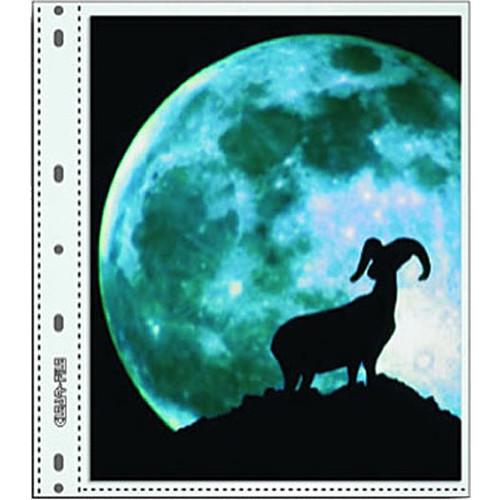 ClearFile Archival-Plus Print Page, Holds Two 8 x 10" Prints - 25 Pack