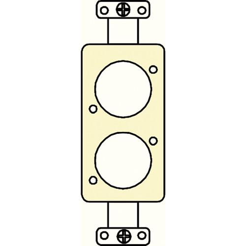 FSR SS-P2XLR-IVO Decora Insert with 2 Neutrik D-Holes