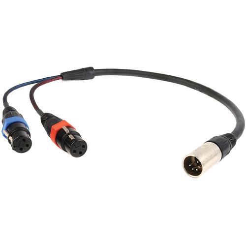 Remote Audio CAXSTEX5M 5-Pin XLR Male to Dual 3-Pin XLR Female Stereo Cable