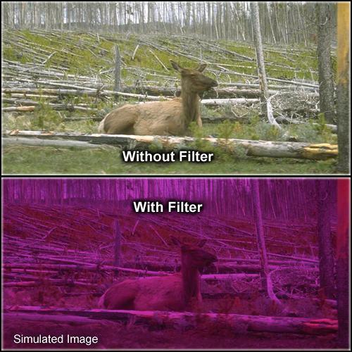 Formatt Hitech Solid Plum Filter