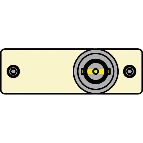 FSR IPS-V110S-IVO BNC to BNC Bulkhead Insert Plate