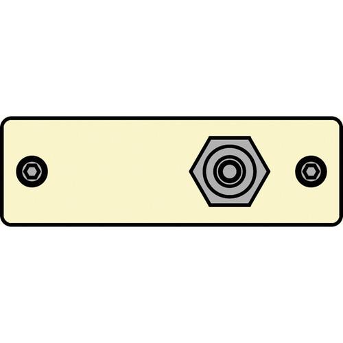 FSR IPS-V211S-IVO RCA to RCA Bulkhead Insert Plate