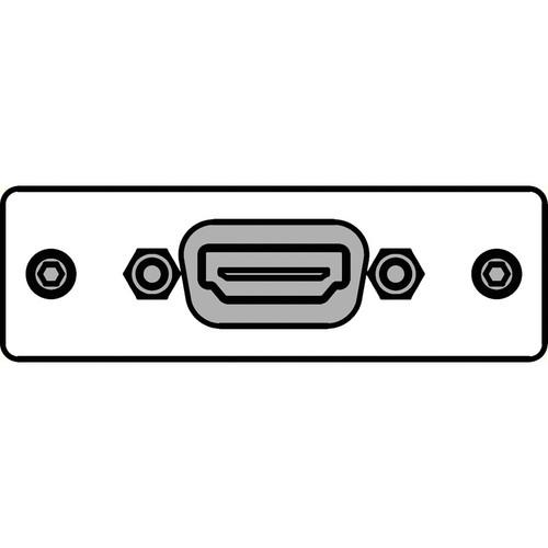 FSR IPS-V610S-WHT HDMI Female to HDMI Female Insert Plate