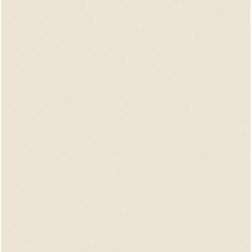 Rosco RoscoSleeve #3410 Roscosun 1 8 CTO