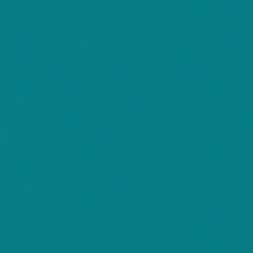 Rosco RoscoSleeve T5 x 60"