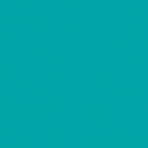 Rosco RoscoSleeve T5 x 60"