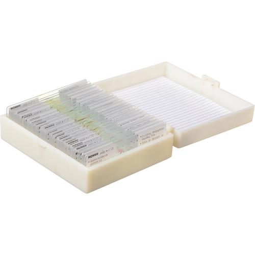 Konus #4980 Zoology Slide Set: Insects