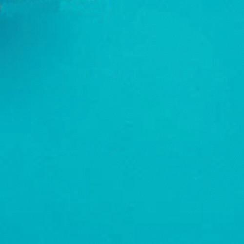 Kodak 4 x 12" #44 Wratten 2 Filter