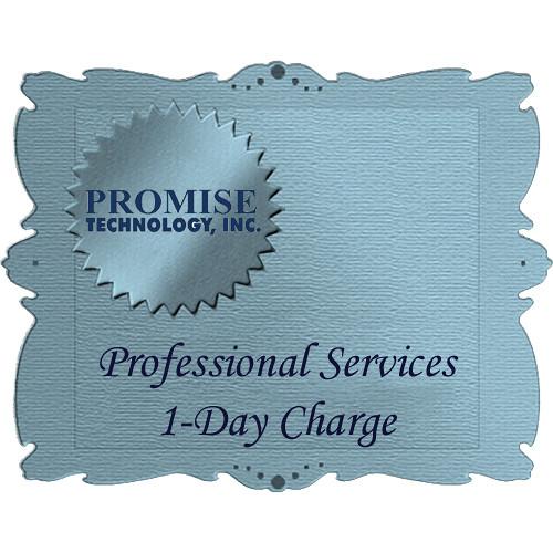 Promise Technology Professional Services