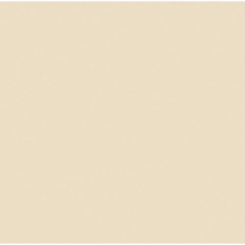 Rosco #3409 Roscosun 1 4 CTO Fluorescent Lighting Sleeve Tube Guard