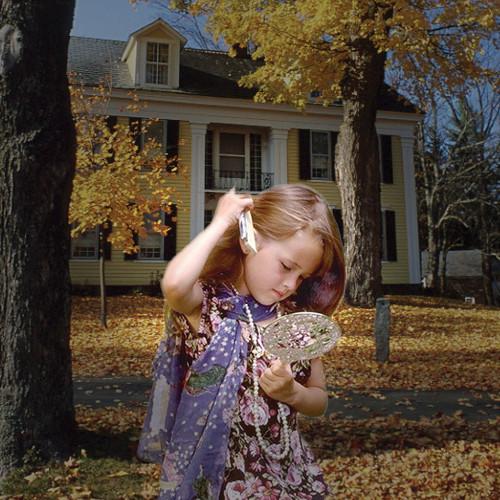 Cokin P073 Gray 2 Wide-Angle Center Spot Resin Filter