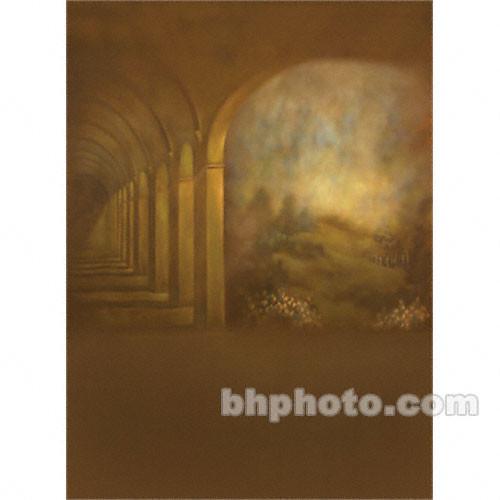 Won Background Muslin Xcanvas Background - Romanesque - 10x20