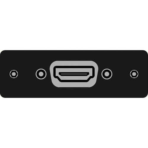 FSR IPS-V610S-BLK HDMI Female to HDMI Female Insert Plate