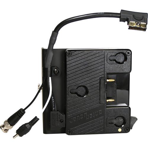 Anton Bauer Gold Mount for Panasonic TLC-7WMSI