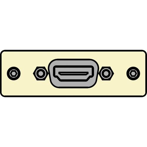 FSR IPS-V610S-IVO HDMI Female to HDMI Female Insert Plate