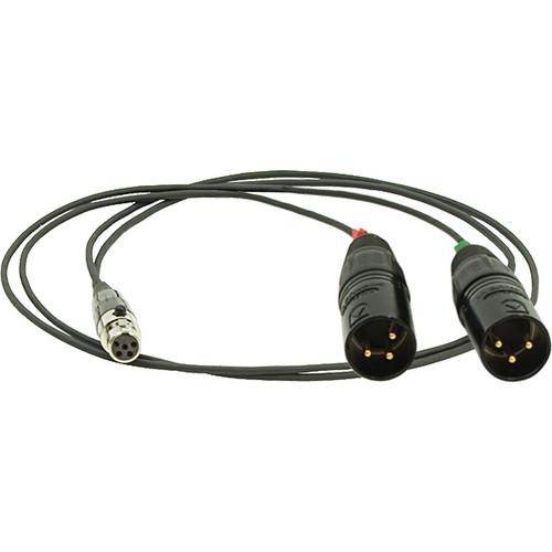 Ambient Recording SKA-TA5 TA5F to 2 x XLR3M Adapter Cable