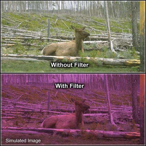 Formatt Hitech 86mm Solid Plum 2 Filter