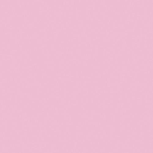 LEE Filters 1 2 Minus Green Filter