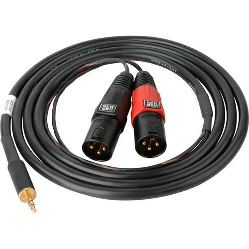 Sescom SES-IPOD-XLRM06 3.5mm Stereo to Dual XLR Male Mono Audio Cable