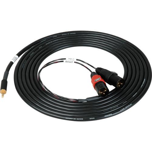 Sescom SES-IPOD-XLRM15 3.5mm Stereo to Dual XLR Male Mono Audio Cable