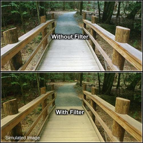 LEE Filters Antique Suede 2 Filter