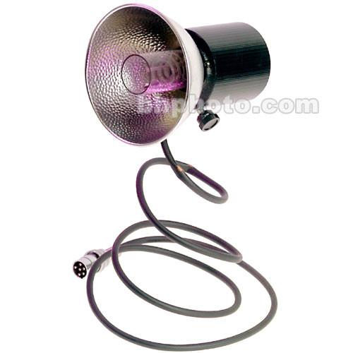 Lumedyne 2400 W S Flash Head with Modeling Light, Straight Cord