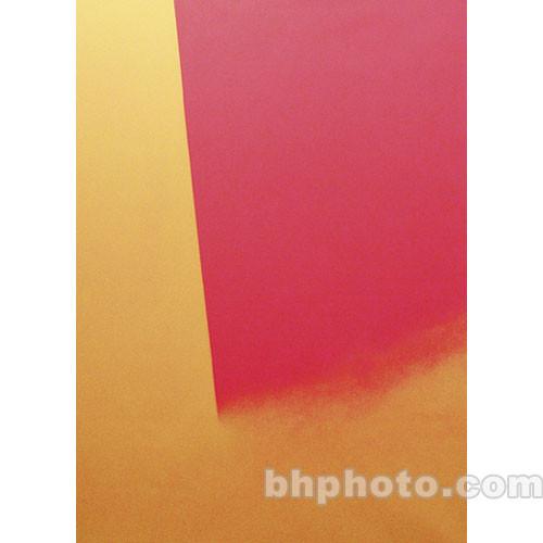 Studio Dynamics Canvas Background, Studio Mount - 8x10