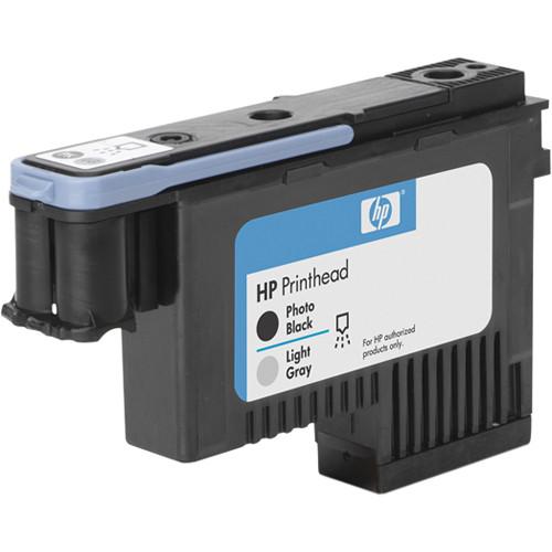 HP 91 Photo Black & Light Gray Printhead