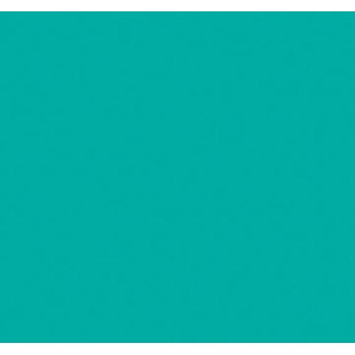 Rosco E-Colour #5461 Grotto Green Roll