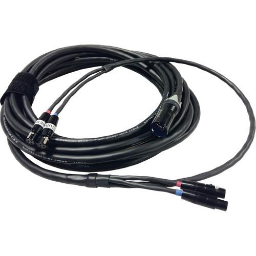 Peter Engh M3 Quick Release Recorder End - Dual TA3-F with Dual TA3-F Returns to XLR 7-M