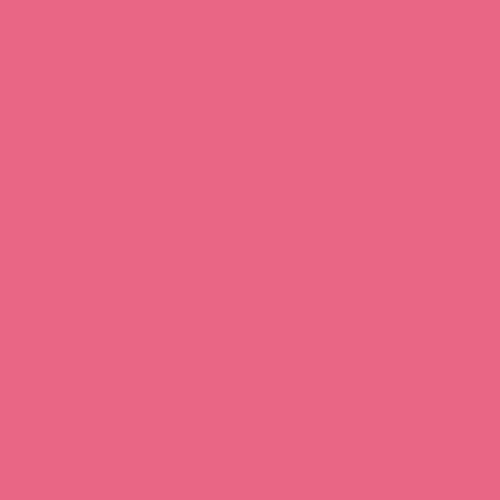 Rosco E-Colour #748 Seedy Pink Sheet