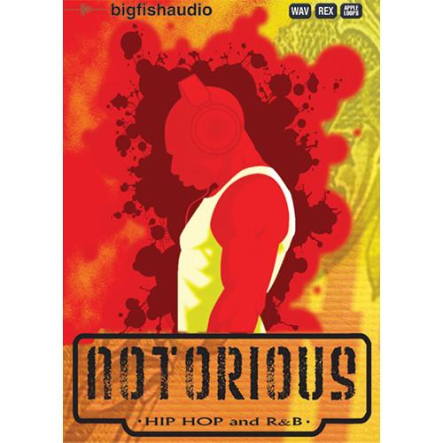 Big Fish Audio Notorious: Hip Hop and R&B DVD