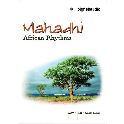 Big Fish Audio Mahadhi - African Rhythms DVD