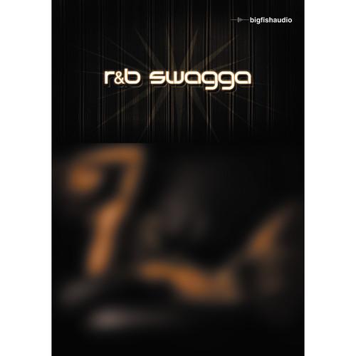 Big Fish Audio R&B Swagga DVD