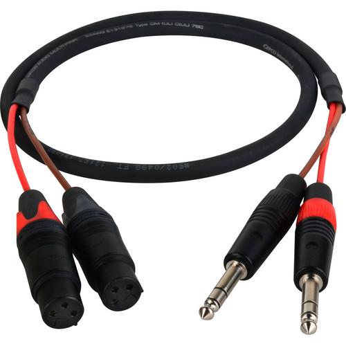 Laird Digital Cinema 1 4" TRS Plug to XLR Female Audio Breakout Cable for Blackmagic CC