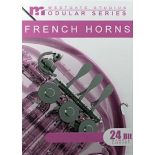 Big Fish Audio French Horns Modular Series DVD