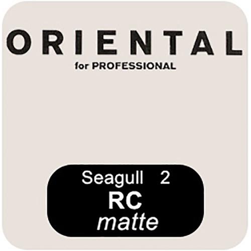 Oriental Seagull RC-M Grade #2 RP Paper