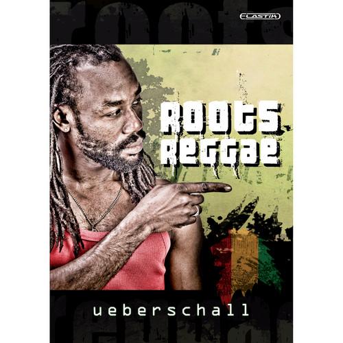 Big Fish Audio DVD: Roots Reggae