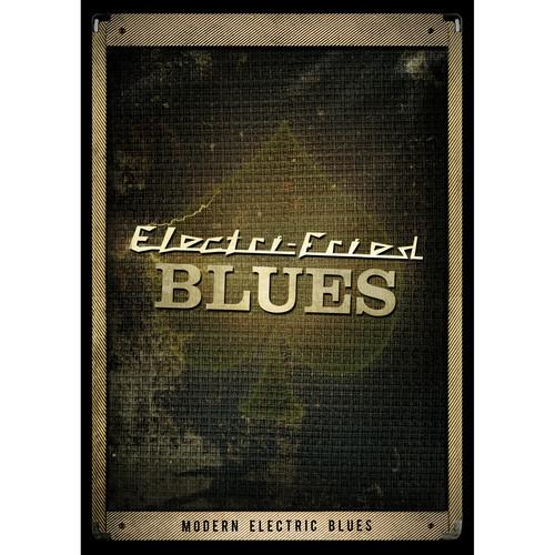 Big Fish Audio Electri-Fried Blues DVD