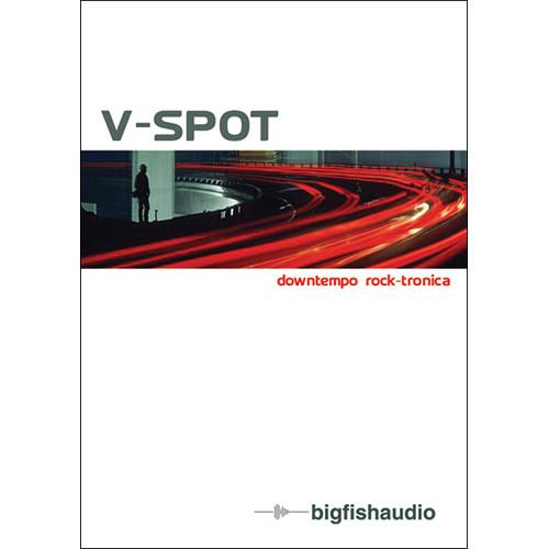 Big Fish Audio V-Spot