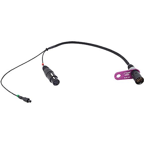 Ambient Recording SKA-XL Stereo XLR-F LEMO XLR-5M Breakout Cable